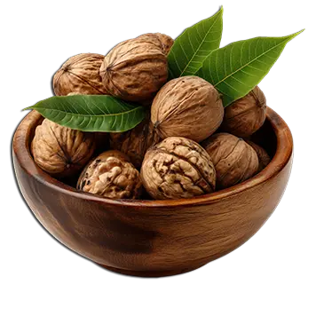 walnut